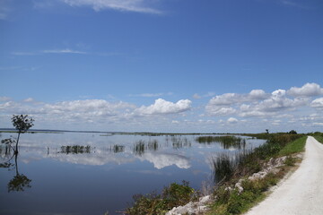 The Road Less Traveled