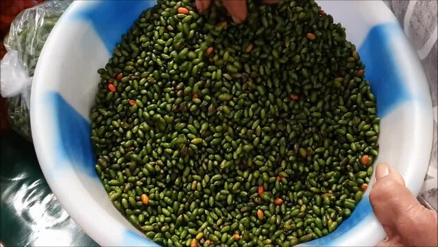 Pimenta