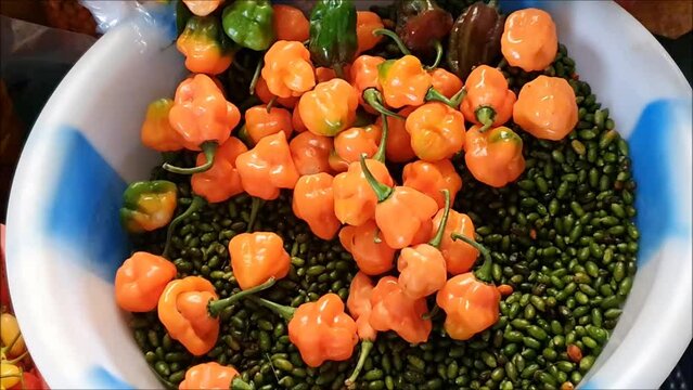 Pimenta