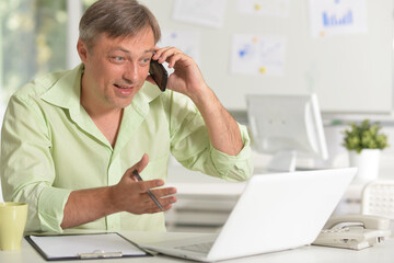 Fototapeta premium Mature businessman talking on phone while working with laptop