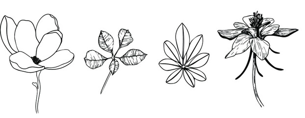black and white flowers and leaves - obrazy, fototapety, plakaty