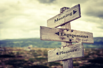 meaning engagement pleasure text quote written in wooden signpost outdoors in nature. Moody theme...