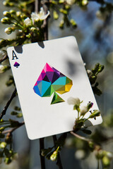 Ace of spades - playing card