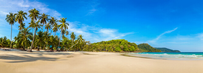 Panorama de la plage tropicale