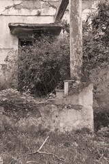 old door and porch with overgrown plants