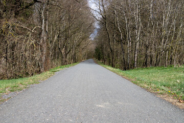 bike path in the forest