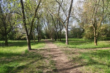 Nel Parco in primavera