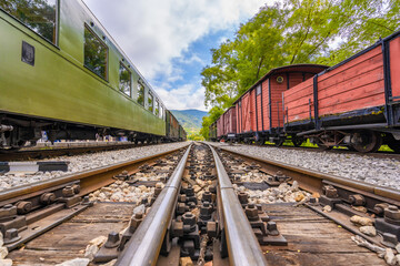 Fototapeta na wymiar View to a railway track between trees and trains