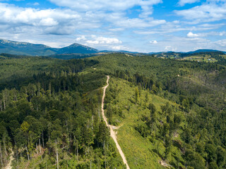 Green mountains of Ukrainian Carpathians in summer. Coniferous trees on the slopes. Aerial drone view.
