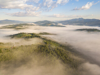 Green mountains of the Ukrainian Carpathians in the morning fog. Aerial drone view.