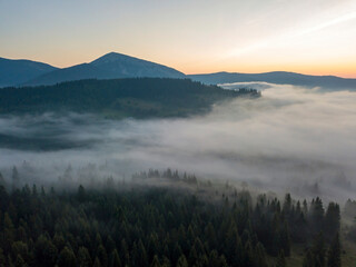 Morning fog in the Ukrainian Carpathians. Aerial drone view.