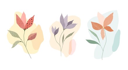 Set of illustrations of delicate abstract flowers