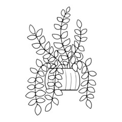Potted houseplant. Simple contour illustration on a white background. Vector graphics.