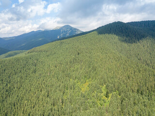 Obraz premium Green mountains of Ukrainian Carpathians in summer. Sunny day, rare clouds. Aerial drone view.
