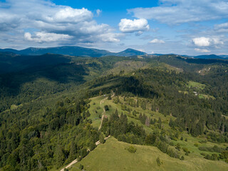 Fototapeta premium Green mountains of Ukrainian Carpathians in summer. Coniferous trees on the slopes. Aerial drone view.