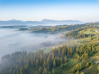 Fototapeta premium Morning fog in the Ukrainian Carpathians. Aerial drone view.