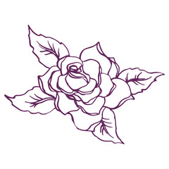 Rose flower line art in realistic style. Vector image