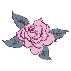 Rose flower illustration hand drawn vector