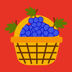 Basket of grapes. Agricultural products. Color illustration. Vector. 
 - obrazy, fototapety, plakaty