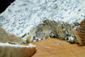 Gorgonzola cheese. Cheese with mold.
