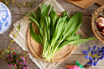 Fresh young wild garlic leaves with Easter decoration in spring, top view