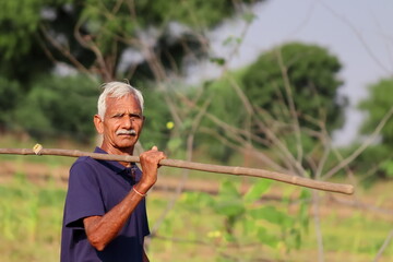 portrait Photo of A Aged man senior farmer looks at the camera with a wooden stick in his hand