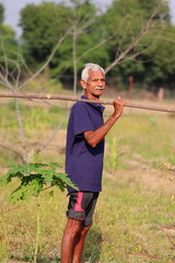 portrait Photo of A Aged man senior farmer standing in the field holding a wooden stick in his hand and looking at the camera