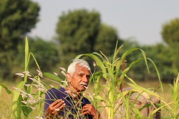 photo of An Indian Aged man senior Farmer looking at the camera in a corn field with selective focused background , india