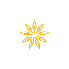 Sun flower logo design. Luxury yellow flower icon vector illustration.