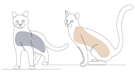 cats drawing by one continuous line, sketch, vector