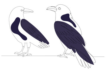 crows drawing by one continuous line, sketch, vector