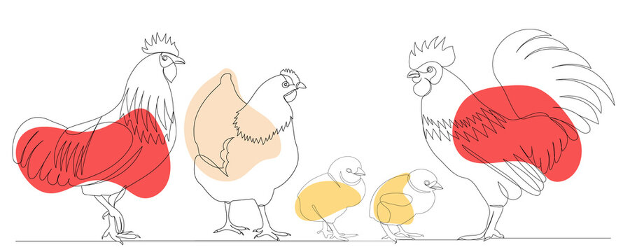 rooster, hen, chicks one continuous line drawing, sketch, vector