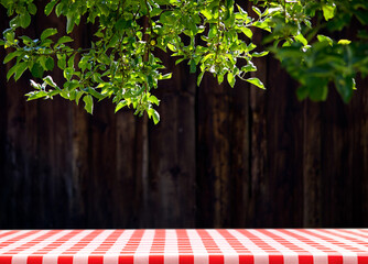 Template for outdoor cooking - fresh green leaves over an empty table with classic Italian red checkered tablecloth on dark wooden background