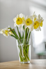  Spring yellow flowers in a vase on the kitchen  table. Bouquet of daffodils in a transparent glass. The atmosphere of comfort and coziness. Selective focus. Copy space for text