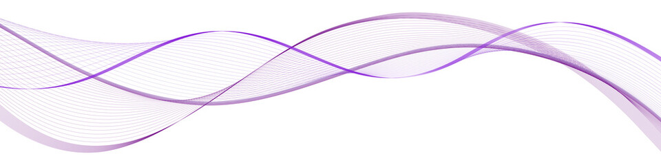 Purple wave swirl swoosh. Dynemic color flow movement, air wind waves with transparent veil texture. Trendy design; curve lines isolated on white background. Vector illustration