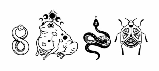 Mystical trippy isolated cliparts bundle, goblincore aesthetics, mystical toad, creepy insect, snake - esoteric witchy stuff, black and white illustration