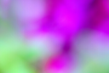 Photography of a gradient color with bokeh effect. Abstract.