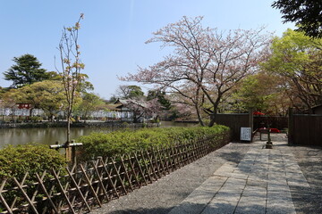 Genji-ike Pond and the entrance to Shinen-botan-teien Japanese Garden in the precincts of Tsuruoka-hachimangu Shrine in Kamakura City in Kanagawa Prefecture in Japan 神奈川県鎌倉市鶴岡八幡宮境内にある源氏池の神苑ボタン庭園