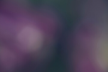 Photography of a gradient color with bokeh effect. Abstract.