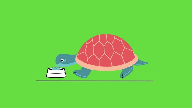 4k video of cartoon turtle on green background.