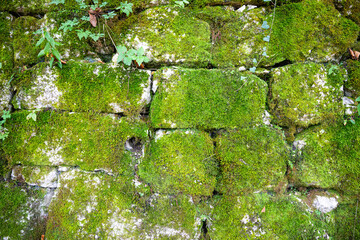 Obraz premium Background wall of arranged rocks in layers covered by green moss.