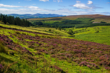 Naklejka premium Green valley with mountain range far away