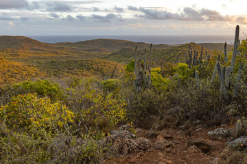 Sunrise over Christoffel National Park during the hike up to the top of Christoffel mountain on the...