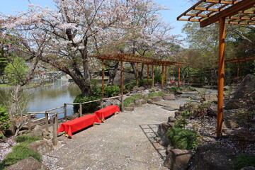  Genji-ike Pond and Shinen-botan-teien Japanese Garden in the precincts of Tsuruoka-hachimangu...