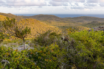 Fototapeta na wymiar Sunrise over Christoffel National Park during the hike up to the top of Christoffel mountain on the Caribbean island Curacao