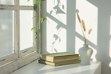 window frame shadow with white window