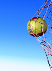 Spanish soccer ball in net