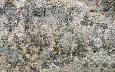 Texture of concrete with a fraction of small stones