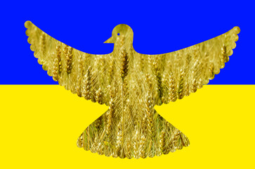 Taube mit Getreidestruktur, auf Ukraine Flagge, Symbol für Kornkammer Ukraine