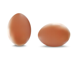Realistic Detailed 3d Chicken Eggs Set Symbol of Easter Isolated on a White Background. Vector illustration of Shell Egg